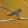 Grey Fantail bird diamond paintings