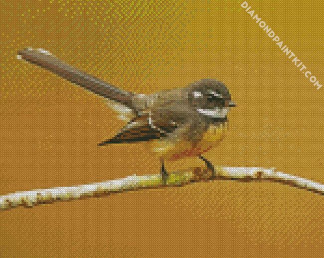 Grey Fantail bird diamond paintings