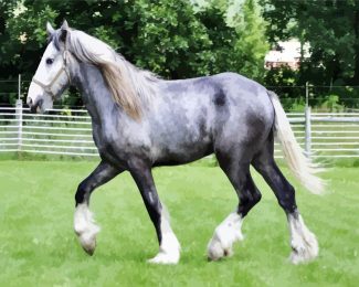 Grey Shire Horse diamond painting