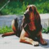 Bloodhound Dog Animal diamond painting