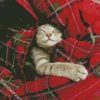 Cute Cat Sleeping In A Blanket diamond painting