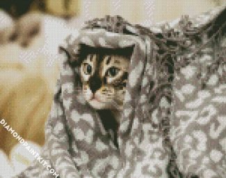 Cute Cat With A Blanket diamond painting