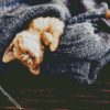 Kitten Sleeping In A Blanket diamond painting