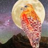 Hawk Bir Moonlight diamond painting