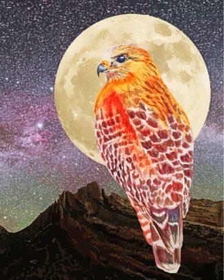 Hawk Bir Moonlight diamond painting