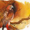 Hawk Bird Art diamond painting