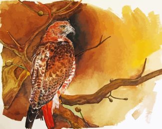 Hawk Bird Art diamond painting