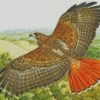 Hawk Bird Flying diamond paintings