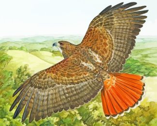 Hawk Bird Flying diamond painting