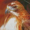 Hawk Bird diamond paintings