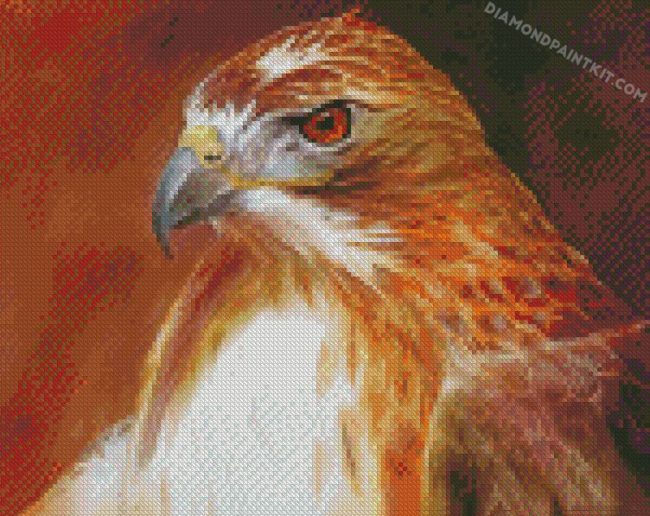 Hawk Bird diamond paintings