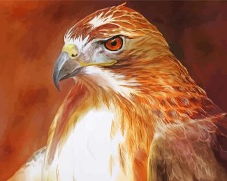 Hawk Bird diamond painting