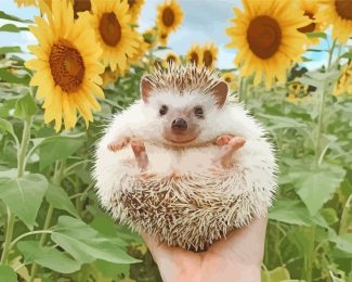 Hedgehog And Flowers diamond painting