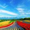 Hokkaido Nature Scene diamond painting