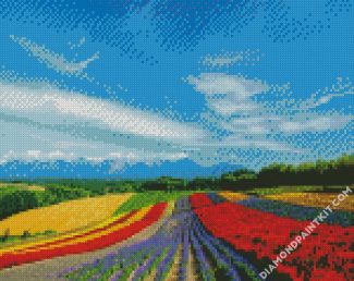 Hokkaido Nature Scene diamond painting