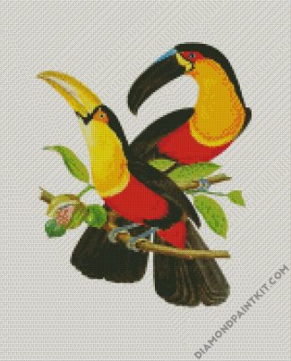 Hornbill Birds Art diamond painting