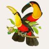 Hornbill Birds Art diamond painting