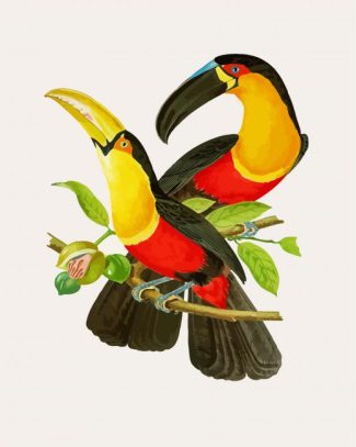 Hornbill Birds Art diamond painting