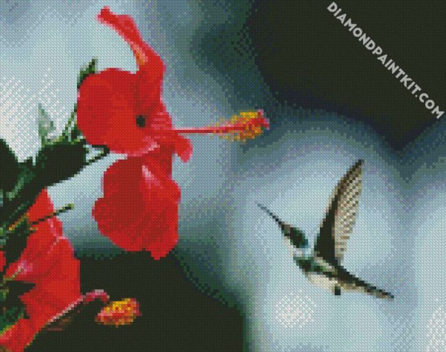 Hummingbird And Red Flower diamond painting