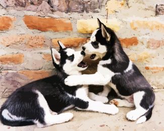 Husky Puppies diamond painting