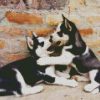 Husky Puppies diamond painting