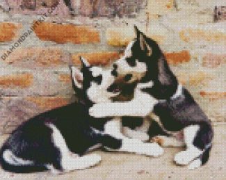 Husky Puppies diamond painting