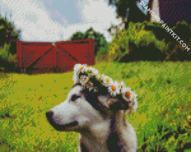 Husky With Flowers Crown diamond painting