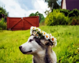 Husky With Flowers Crown diamond painting