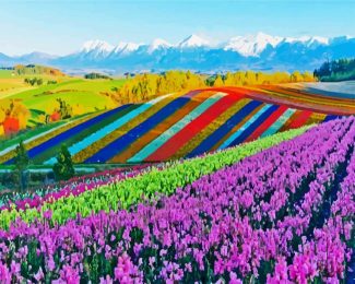 Japan Hokkaido Landscape diamond painting