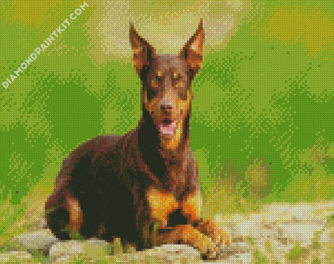 Kelpie Dog diamond painting