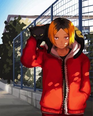 Kenma Kozume And Cat Haikyuu diamond paintings