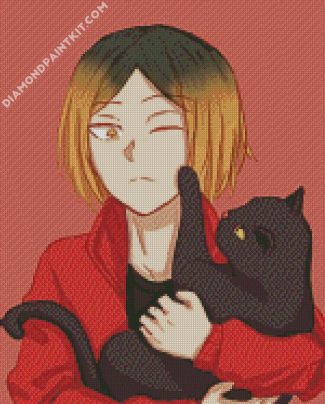 Kenma Kozume And Cat diamond painting