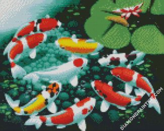 Koi Fish In Pond diamond painting