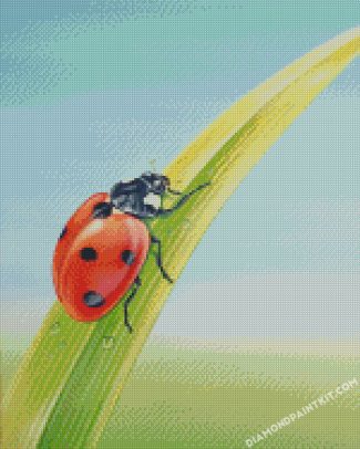 Ladybug On Leaf diamond paintings