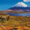 Lauca National Park diamond painting