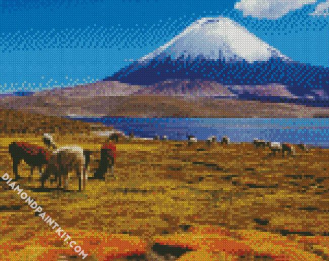 Lauca National Park diamond painting