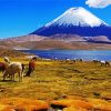 Lauca National Park diamond painting