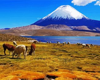 Lauca National Park diamond painting