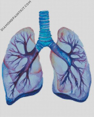 Lungs Art diamond painting