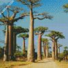 Madagascar Boababs Trees diamond painting