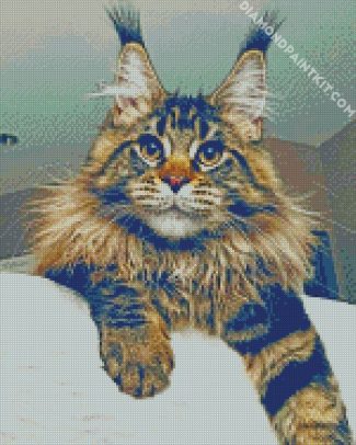 Maine Coon Cat Laying diamond painting