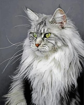 Majestic Maine Coon Cat diamond painting