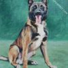 Malinois Dog Art diamond paintings