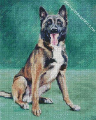 Malinois Dog Art diamond paintings