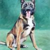 Malinois Dog Art diamond painting