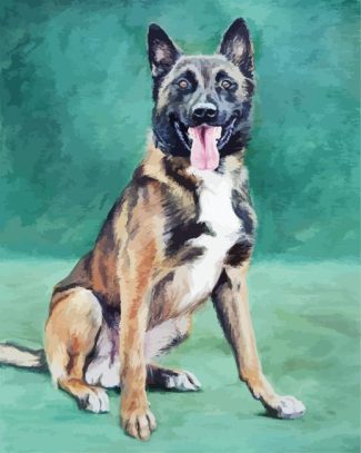 Malinois Dog Art diamond painting