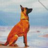 Malinois Dog diamond paintings