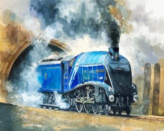 Mallard Train Art diamond painting