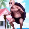 Master Roshi diamond painting