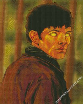 Merlin Serie Art diamond painting